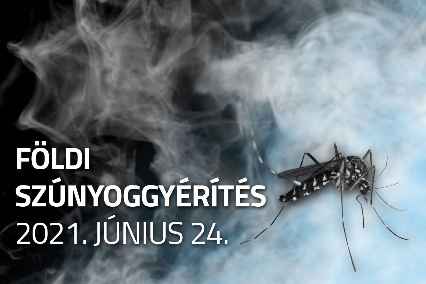 szunyogyerites_foldi