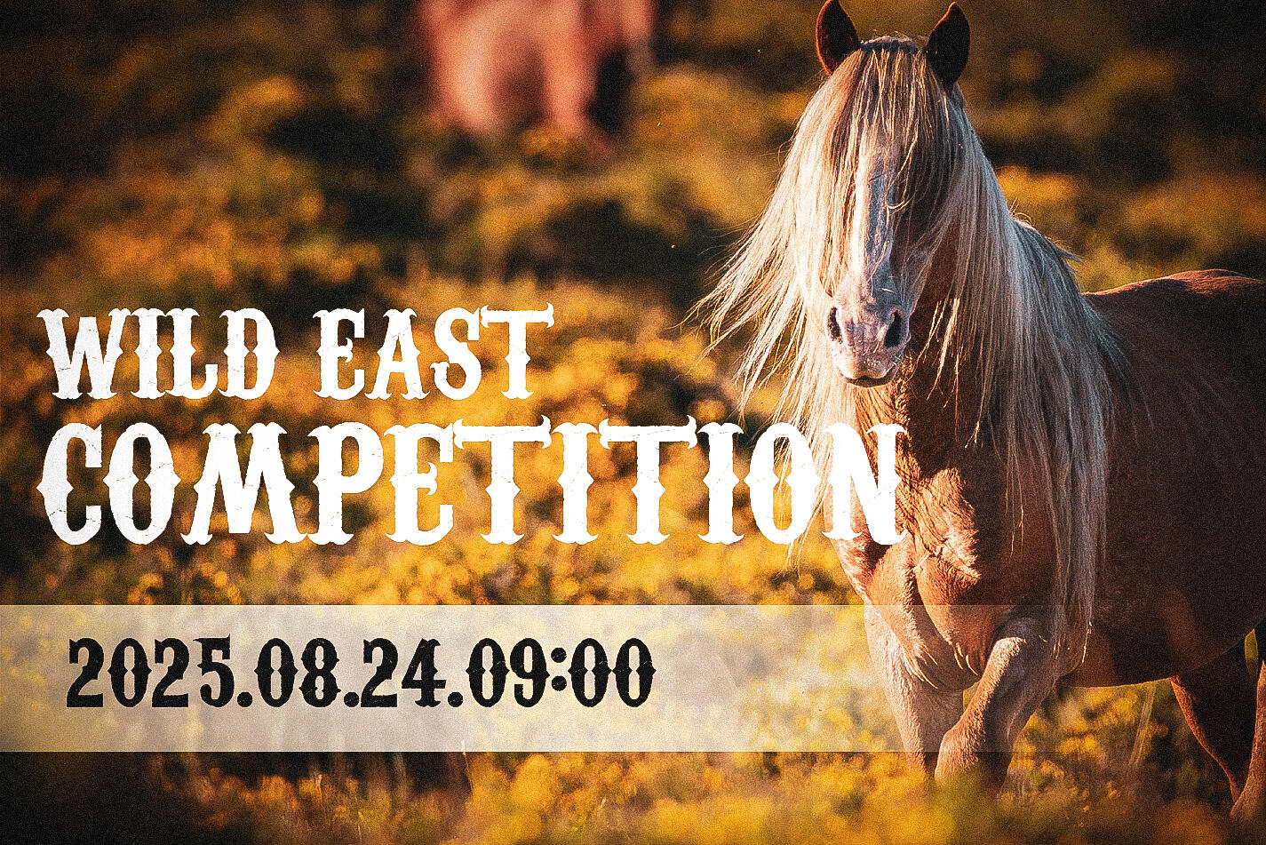 wild_east_20250824