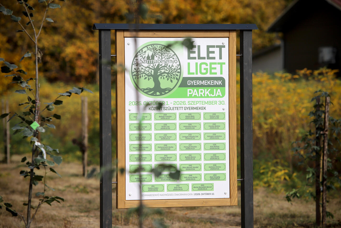 elet_liget2026