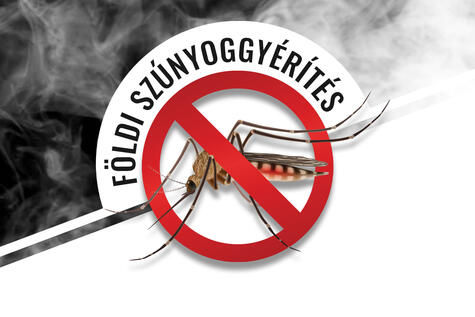 szunyoggyerites