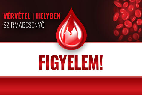 vervetel_20241231